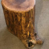 Ca Nov 19 Stump Table Full Cedar F