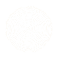 Tree Ring Icon